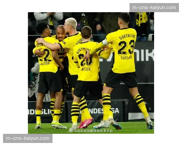 霍芬海姆主帅赛后谈击败多特蒙德：“我们证明了中游球队的竞争力”